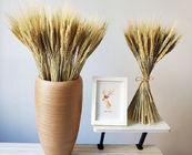 Стержни OEM высокорослые жмут 70cm высушенные высушенные пшеницей пуки цветка